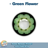 Контактные линзы  Green Flower