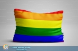 Мини подушка 40*30 [ односторонняя ] - "LGBT" [ЛГБТ]