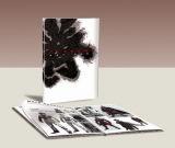 Limited Edition Tekken 6 Art Book