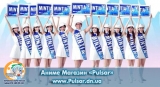 Мятные леденцы MINTIA Mintia [Wild & Cool (50 tablets)