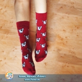 Дизайнерські шкарпетки Pitbull high red