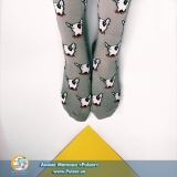 Дизайнерские носки Pitbull high grey