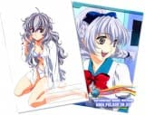 Тетрадь в клеточку ( Тереза Тестаросса / (Full Metal Panic) 36 листов