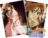 Тетрадь в клеточку ( Orihime / (Bleach) 36 листов