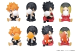 PERIHAPI! Hide & Seek Haikyuu!! Karasuno / Nekoma 8Pack BOX