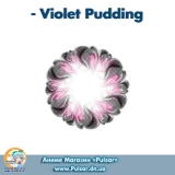 Контактные линзы  Violet Pudding