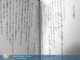 Castle in the Sky Laputa 1-2 Novel Complete set - Hayao Miyazaki /Japanese Book