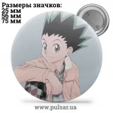 Значок Охотник на охотника / Хантер × Хантер / Hunter × Hunter tape 17