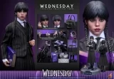 Оригинальная  фигурка «Hottoys - Wednesday 1/6 Scale Figure TMS135»