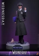 Оригинальная  фигурка «Hottoys - Wednesday 1/6 Scale Figure TMS135»