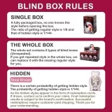 Игрушка-сюрприз с коллекционной фигуркой «Nami Nightmare Core Series Blind Box»