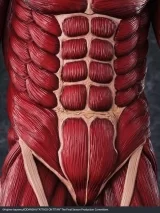 Оригинальная  фигурка «Mega Soft Vinyl Attack on Titan Colossal Titan»