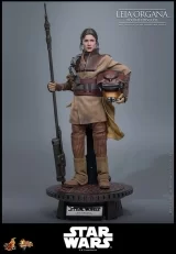 Оригинальная  фигурка «Movie Masterpiece Star Wars EP6 1/6 Leia Organa (Boushh)»
