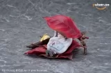 Оригинальная аниме фигурка &laquo;"Autumn Arrives" Illustrated by Tokiwata 1/1 Complete Figure Regular Edition&raquo;