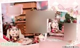 Игрушка-сюрприз с коллекционной фигуркой «Nekonyan - Kitten Agency 8Pack BOX»