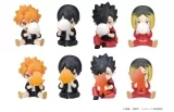PERIHAPI! Hide & Seek Haikyuu!! Karasuno / Nekoma 8Pack BOX