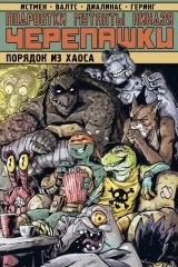 Комикс на русском языке «Подростки Мутанты Ниндзя Черепашки. Порядок из хаоса»