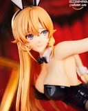 Оригінальна аніме фігурка   «Food Wars! Shokugeki no Soma Erina Nakiri: Bunny Ver. 1/3 Complete Figure», фото 5